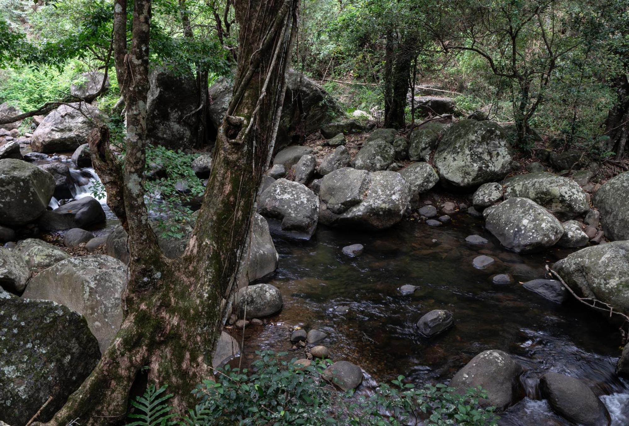 The Glenrock Wellness Nature Resort Belihuloya Kültér fotó