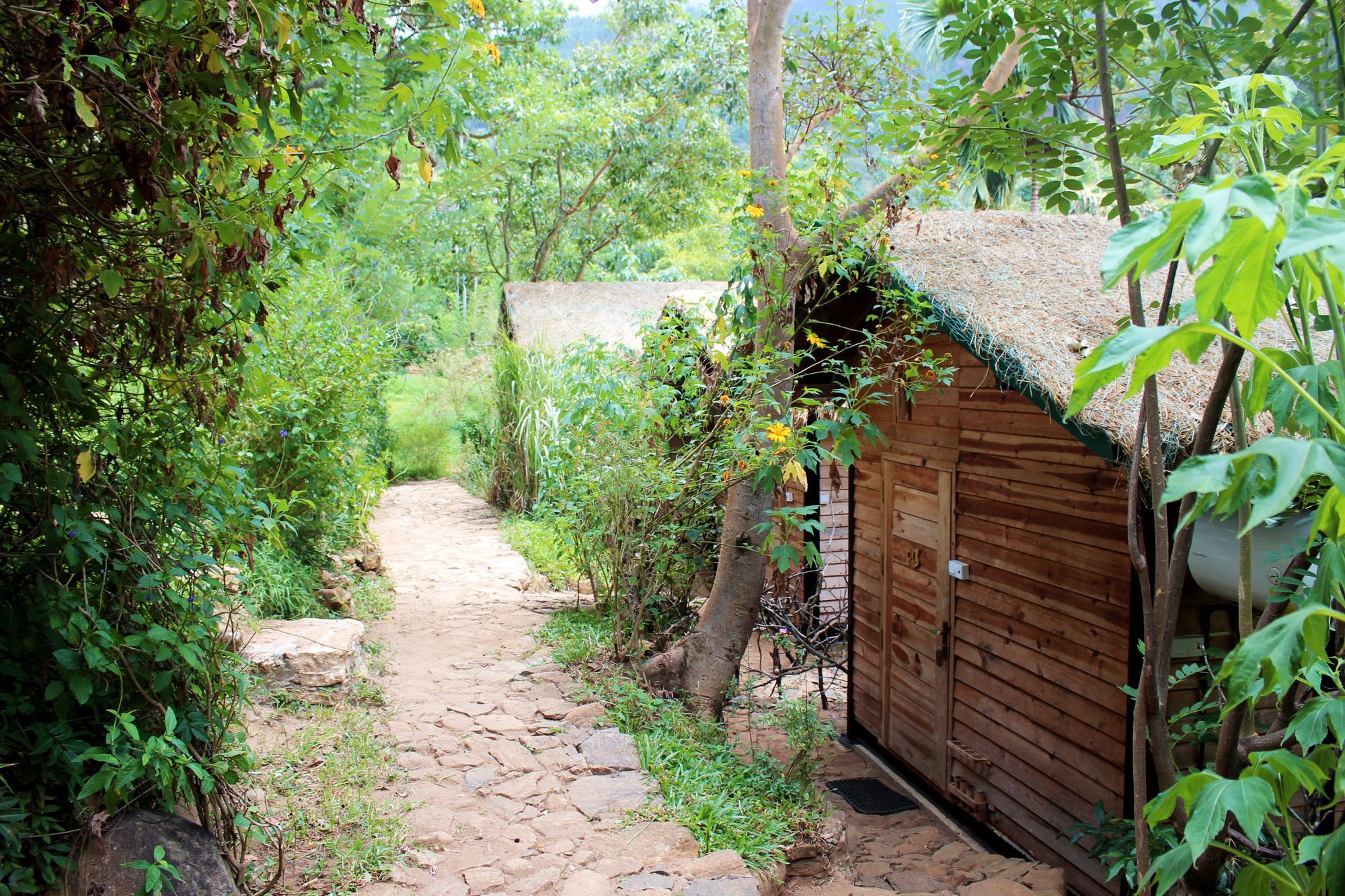 The Glenrock Wellness Nature Resort Belihuloya Kültér fotó