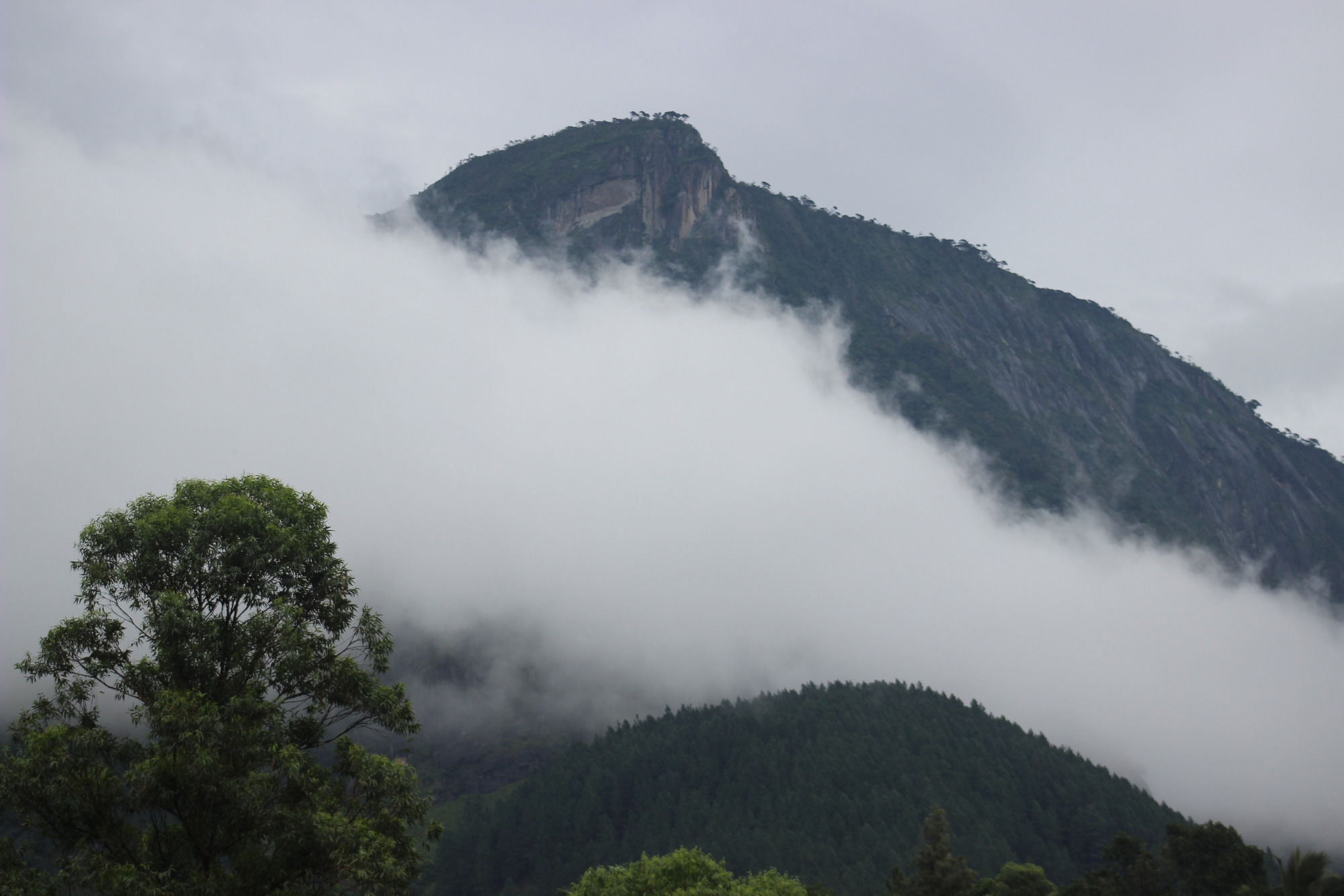 The Glenrock Wellness Nature Resort Belihuloya Kültér fotó